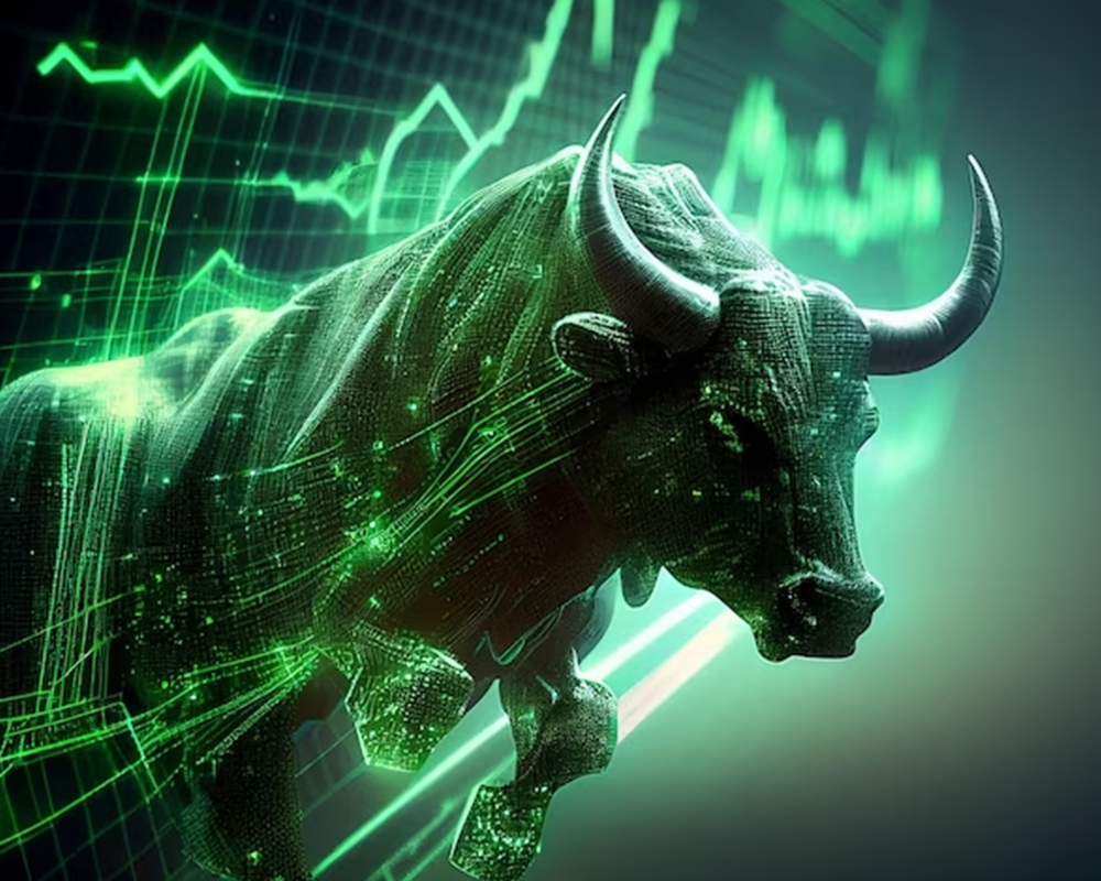 Crypto Market During a Bull Run